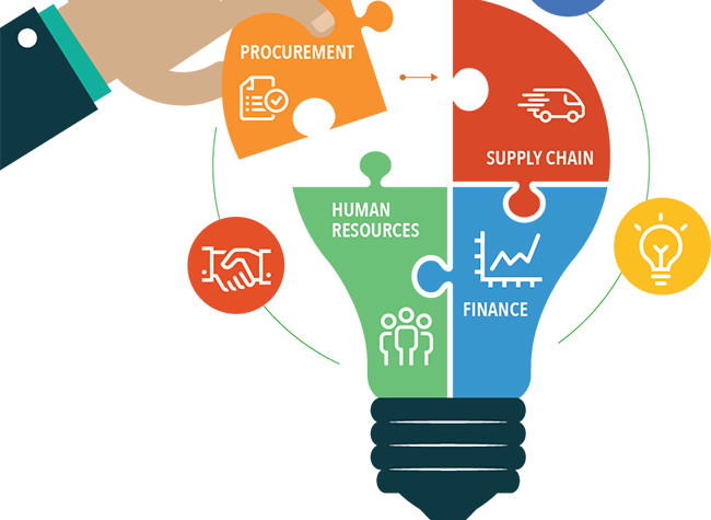 The Numerous Roles of a Enterprise Analyst in Any Organization