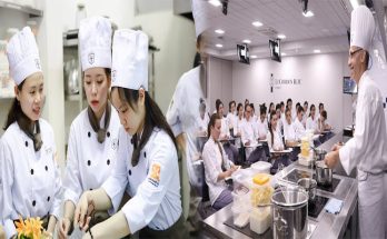 The Best Culinary Schools