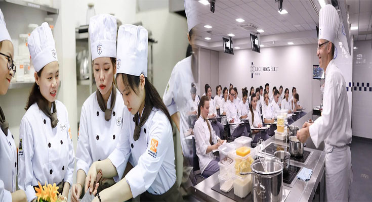 The Best Culinary Schools