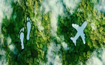 Eco-friendly Strategies for Responsible Travel in Hospitality and Tourism Management